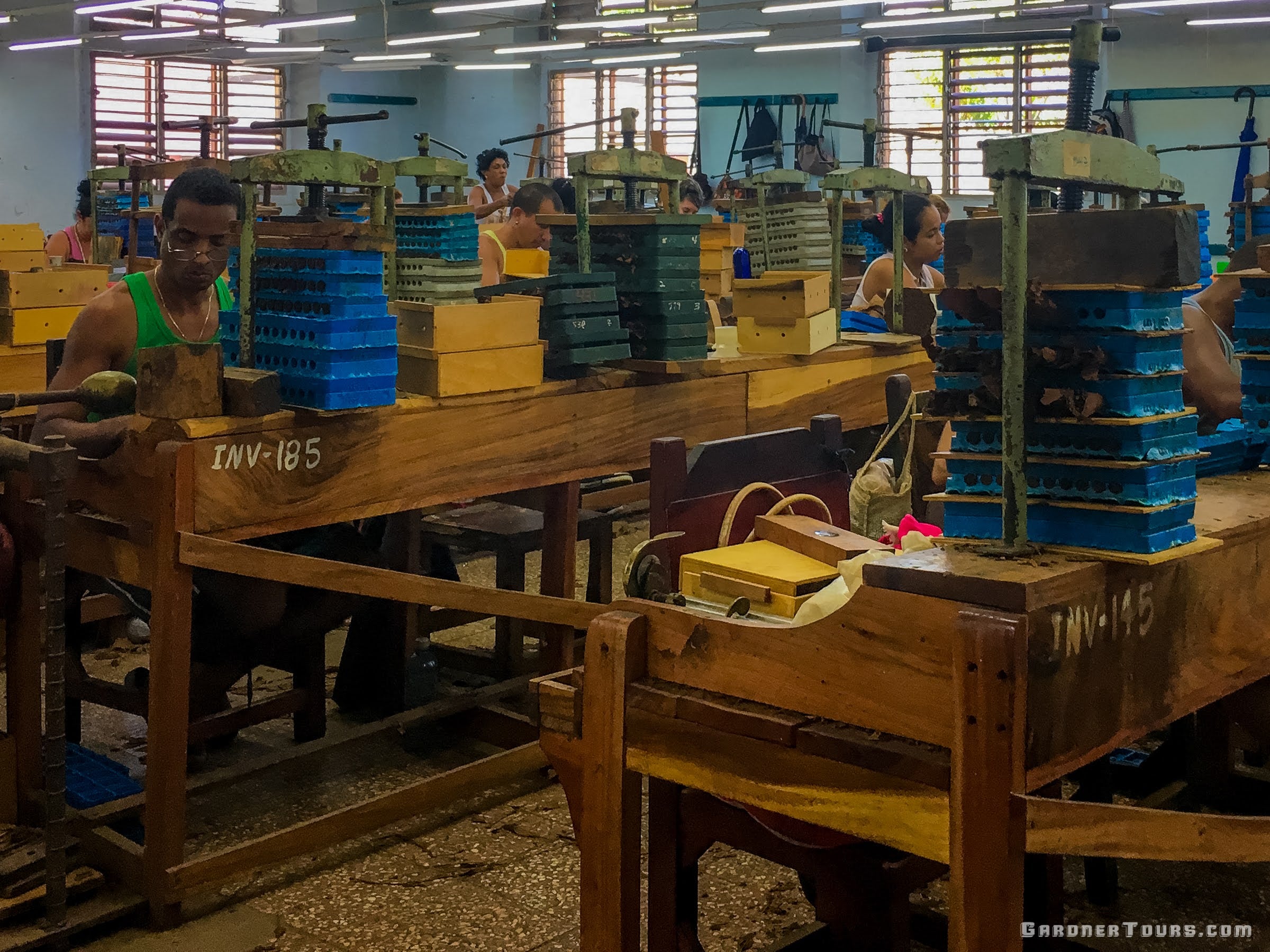 Cuban men and women Rolling Cuban Cigars In Factory