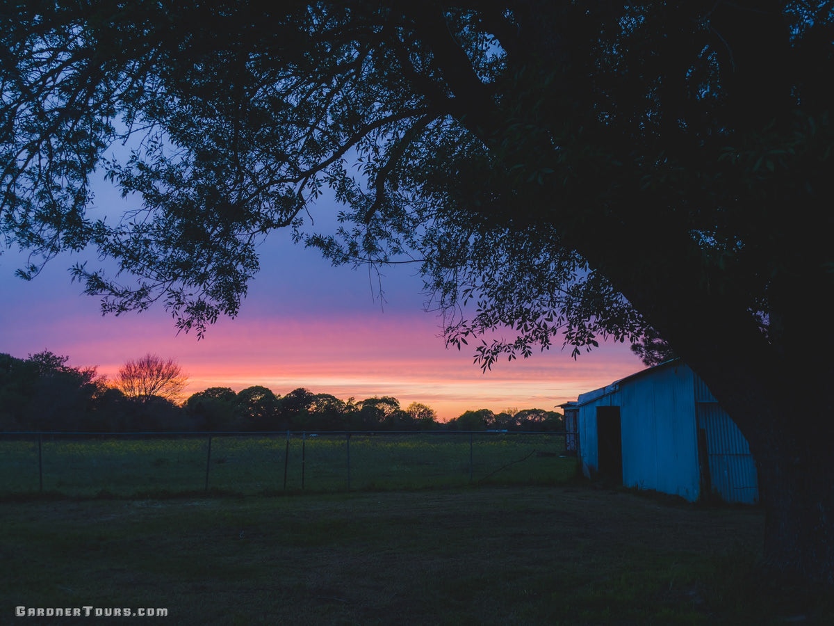 Sunset over a family ranch in Texas Cowboy Country, representing the heritage and hospitality of Gardner Tours.