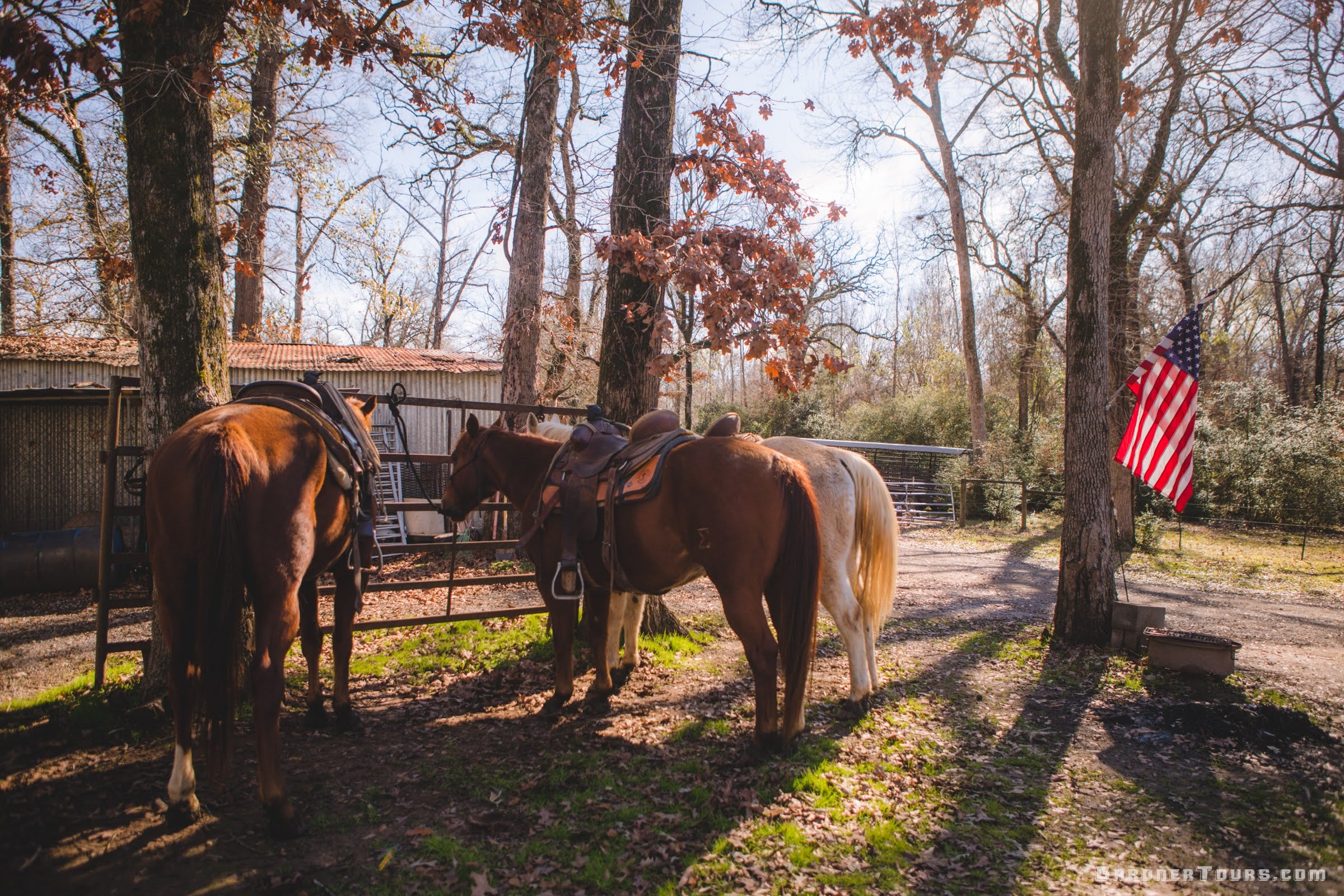 Three horses with saddles standing in a wooded area with an American flag in the background.