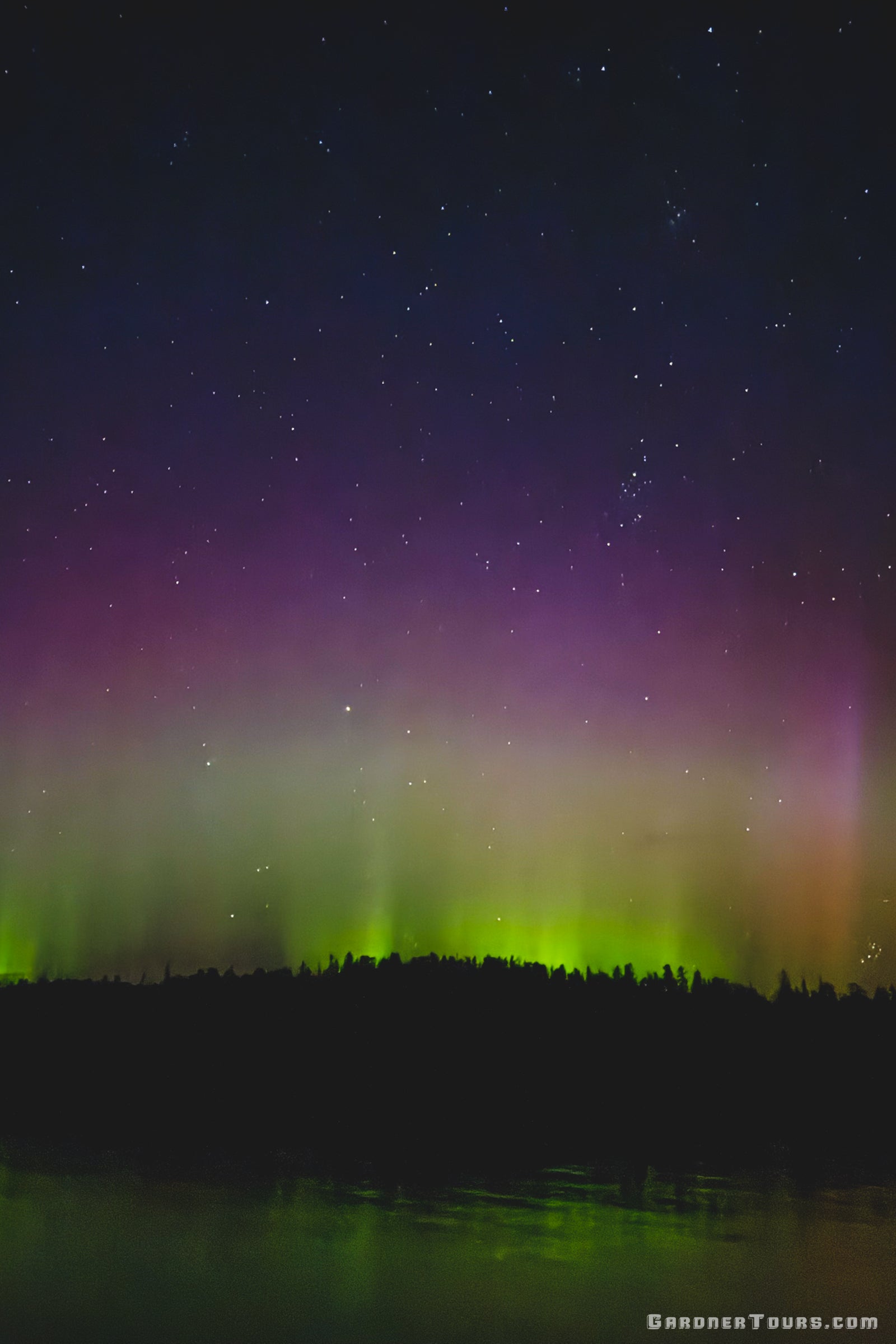 The Aurora Borealis (Northern Lights) glowing green and purple over a dark Alaskan forest.