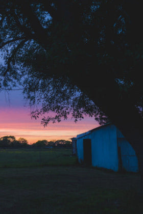 Vibrant pink and orange Texas sunset over the open pasture and barn at the Gardner family farm and ranch near Centerville, Texas.