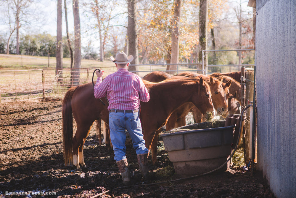 Older cowboy gathering horses on a ranch outside of Centerville, Texas.