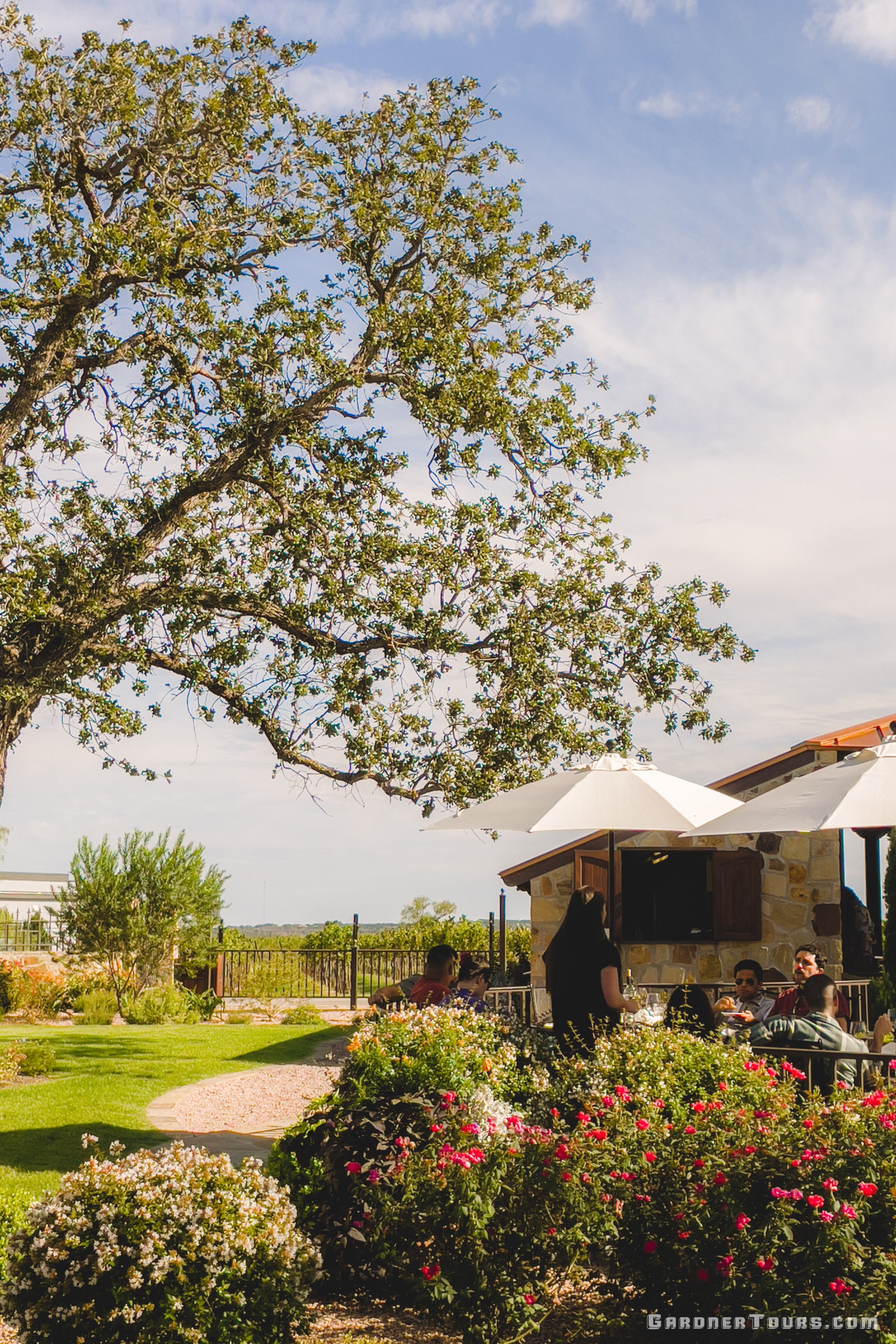Outdoor setting with a tree, garden, and people sitting under white umbrellas.