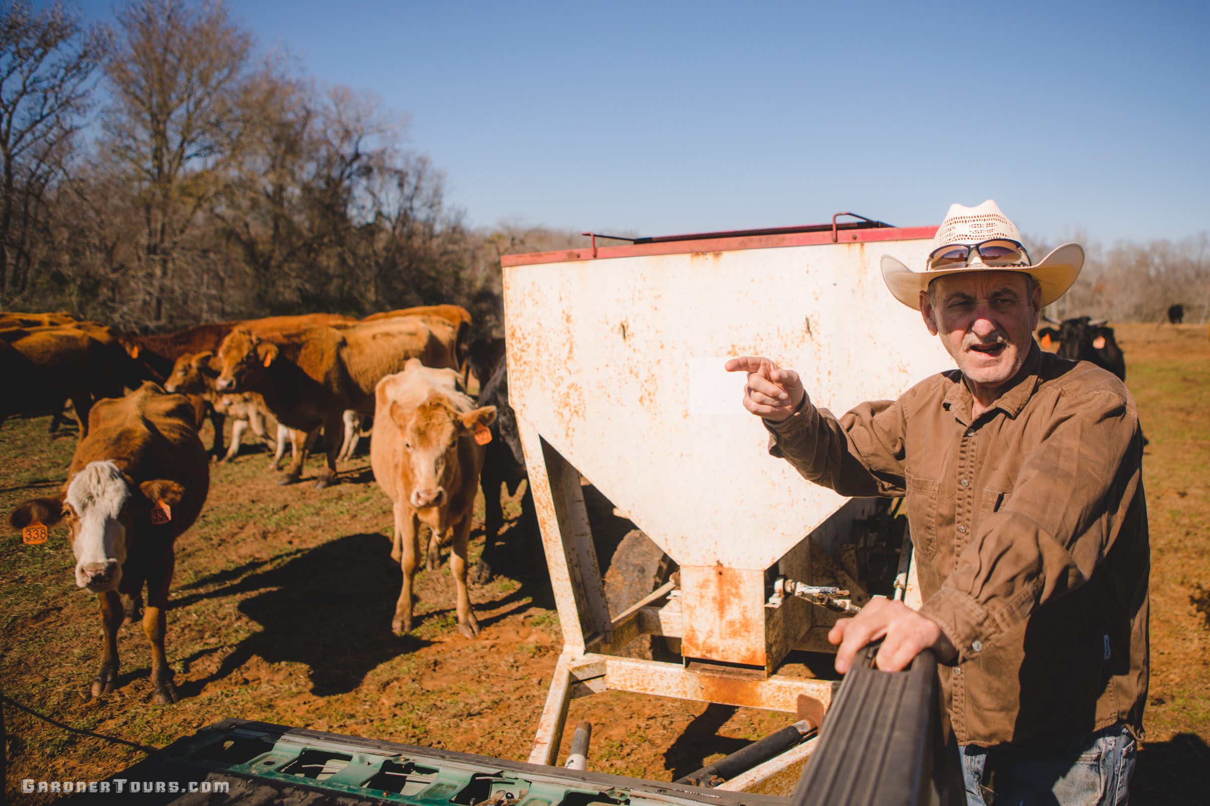 A rancher explains about his cows as he feeds them on a ranch outside of Centerville, Texas.