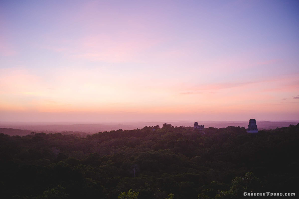 Ancient Mayan pyramids of Tikal rising above the dense green jungle canopy during a purple and orange sunrise in Guatemala.