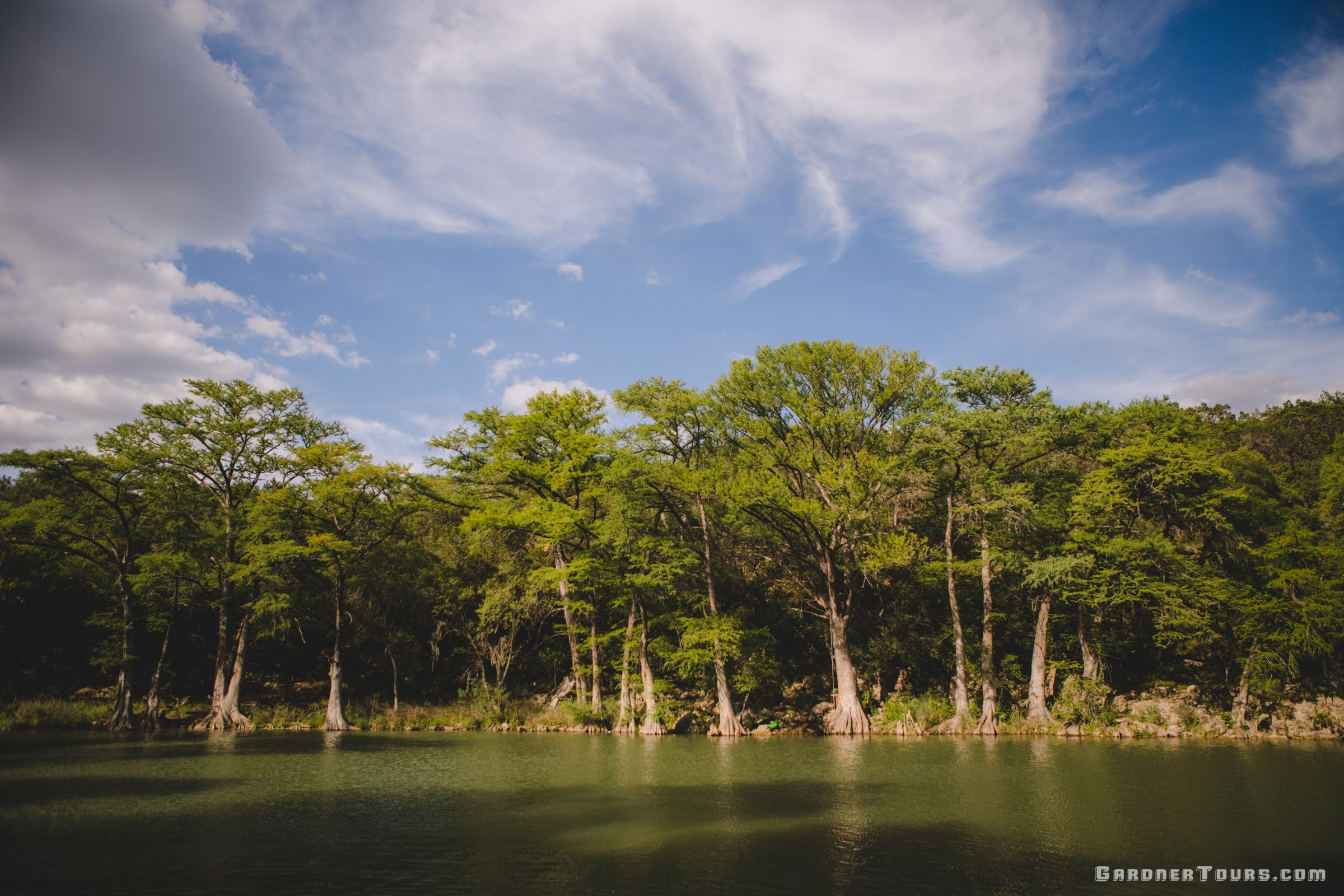 A view of the Guadalupe River with Cypress Trees from River Road outside of New Braunfels, Texas.