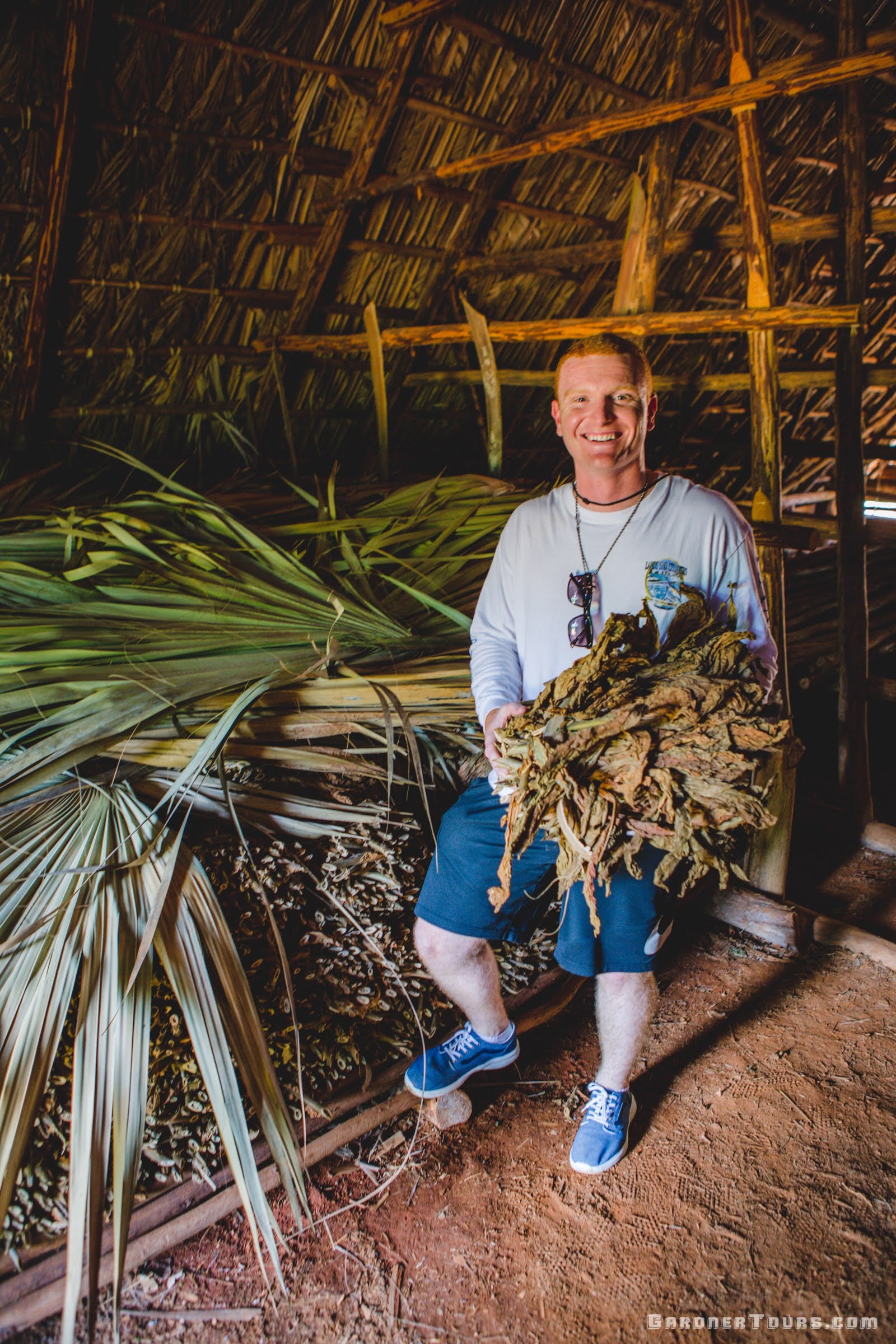 Red headed Man Holding Tobacco Leaves in Cuban Tobacco House in Vinales, Cuba