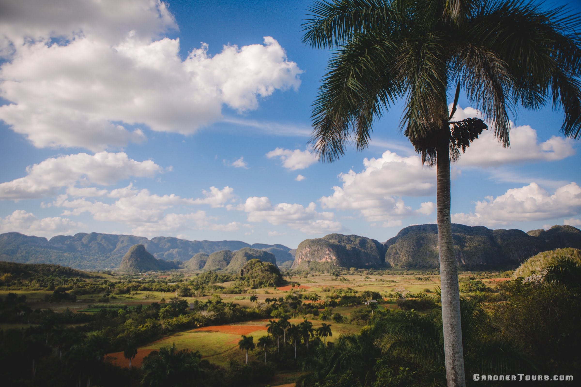 The Viewpoint of the Viñales Valley from Hotel Los Jazmines with the Palm Tree in View in Viñales, Cuba