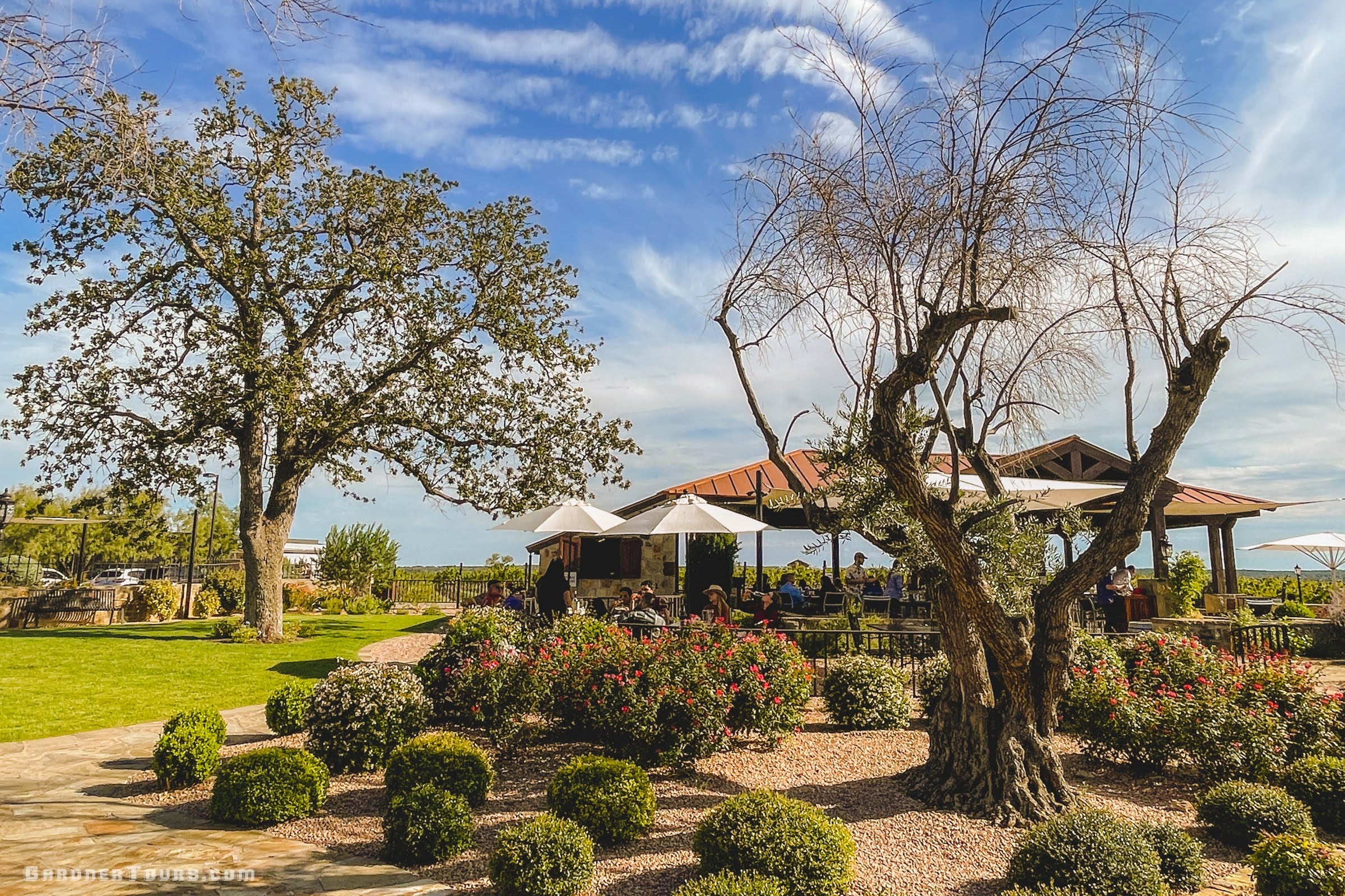 Outdoor setting with trees, shrubs, and a building under a blue sky.
