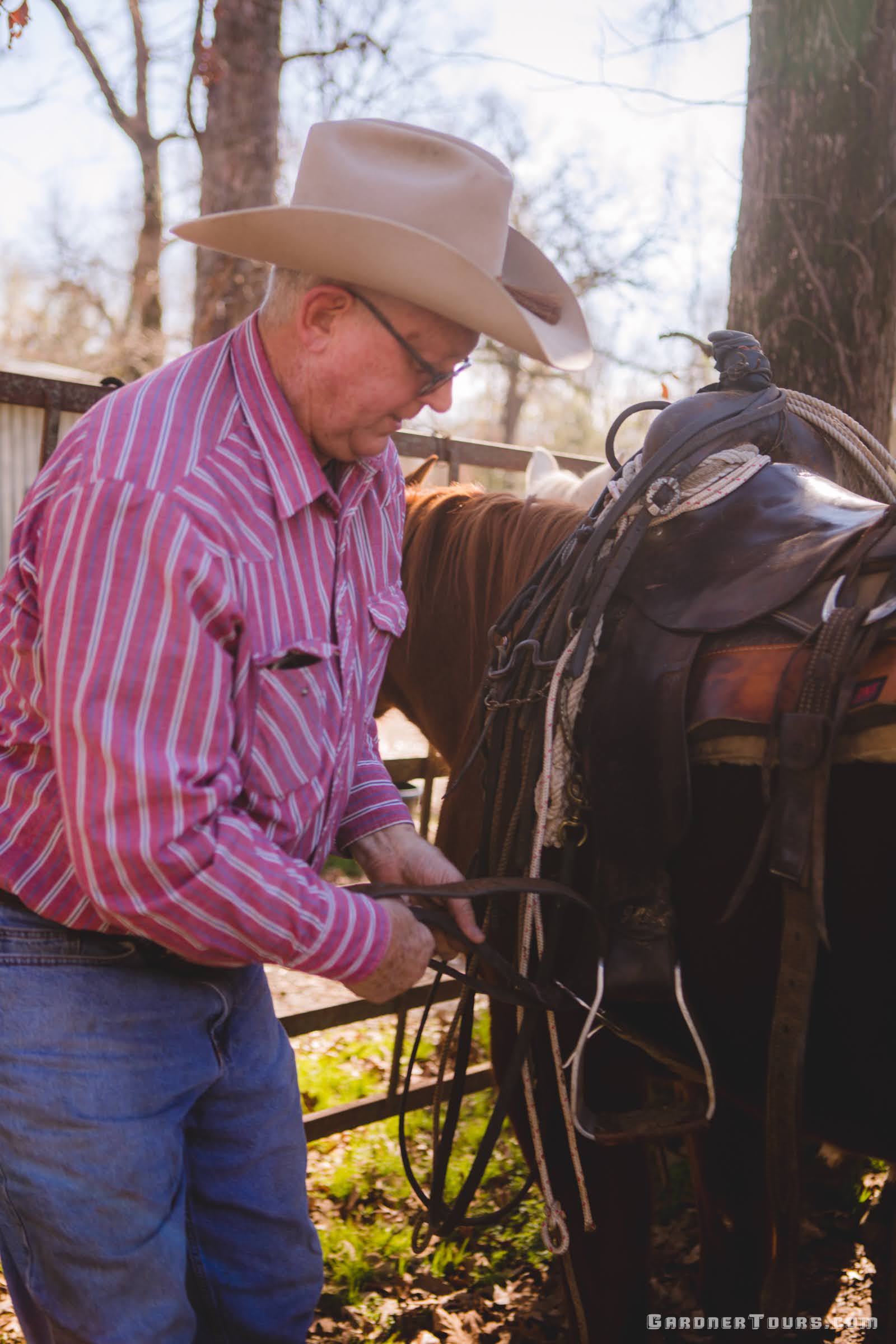 A cowboy saddles his horse before a ride on a ranch outside of Centerville, Texas.