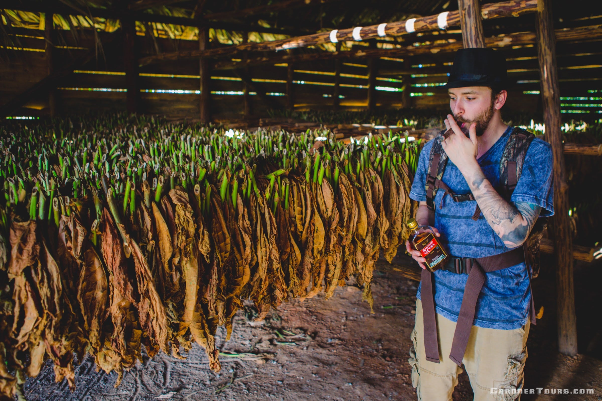 Man Smoking a Cigar in a Cuban Tobacco Barn in Vinales, Cuba