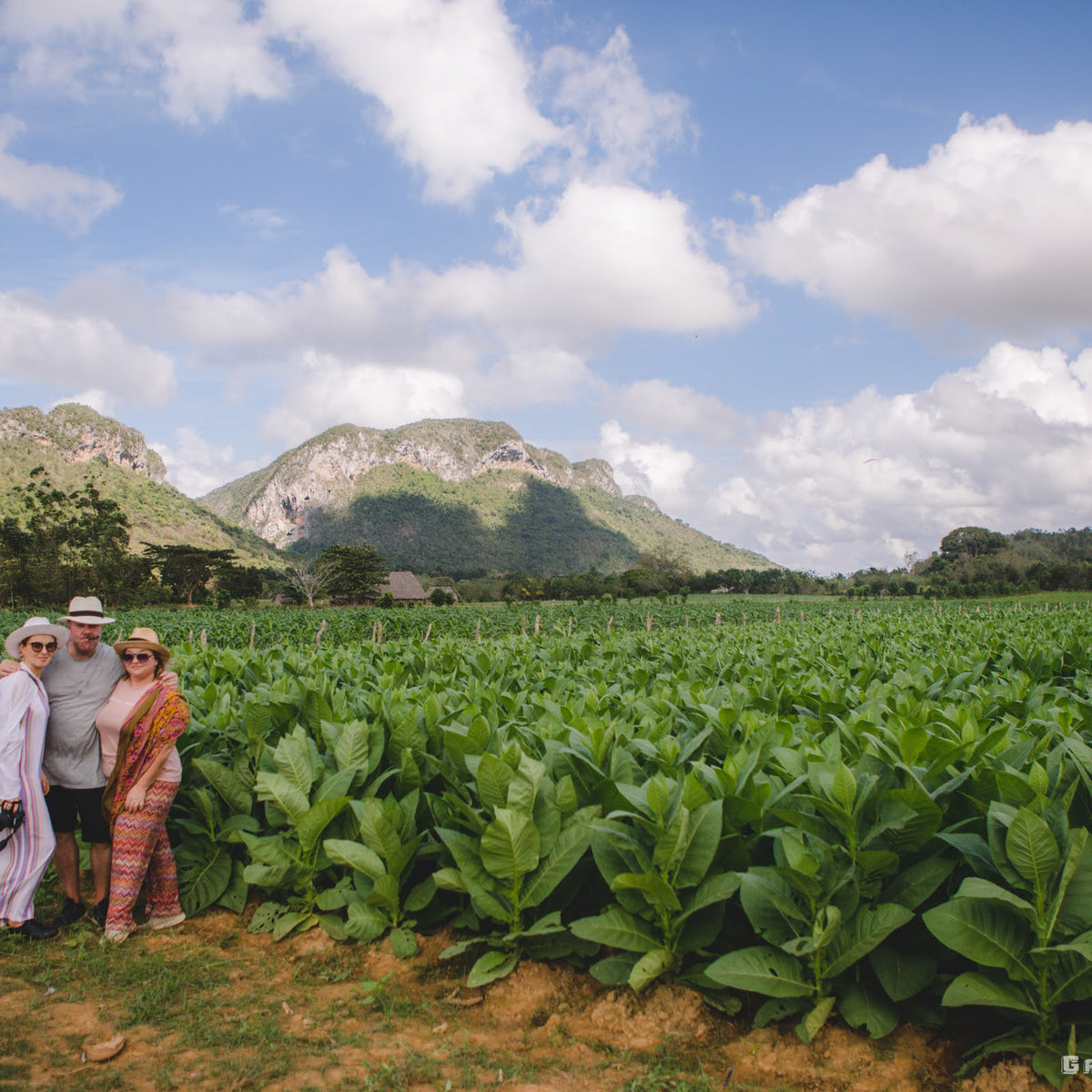 Viñales Valley Tour