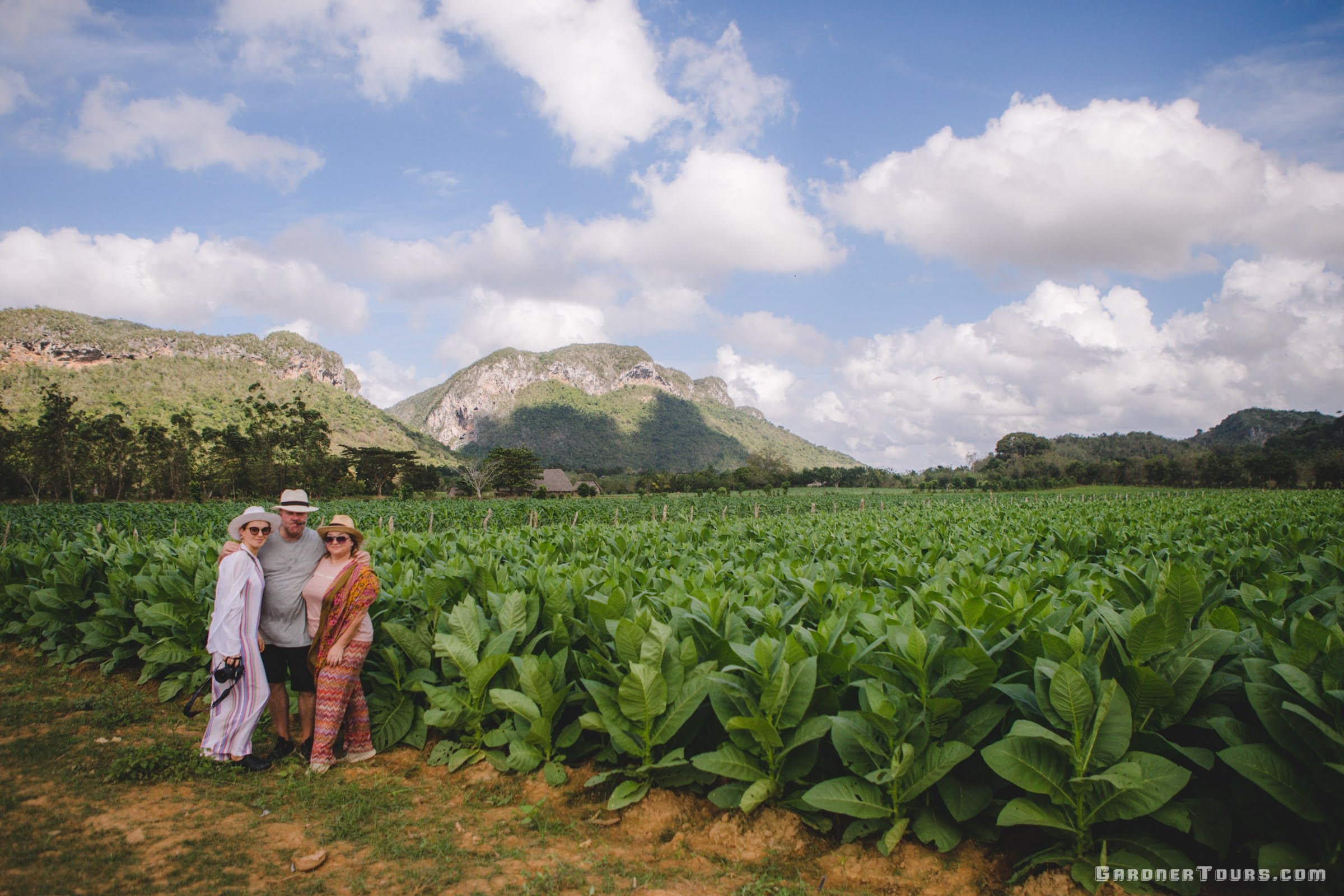 A Family of Three Standing in a Tobacco Field in the Vinales Valley, Cuba